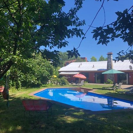 Alma Nativa Hostel Pucón Zewnętrze zdjęcie