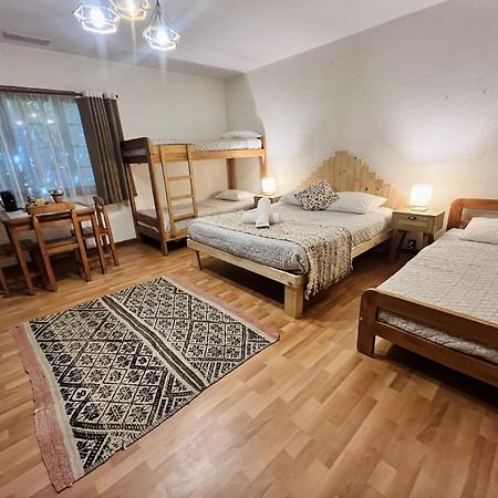 Alma Nativa Hostel Pucón Zewnętrze zdjęcie