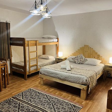 Alma Nativa Hostel Pucón Zewnętrze zdjęcie