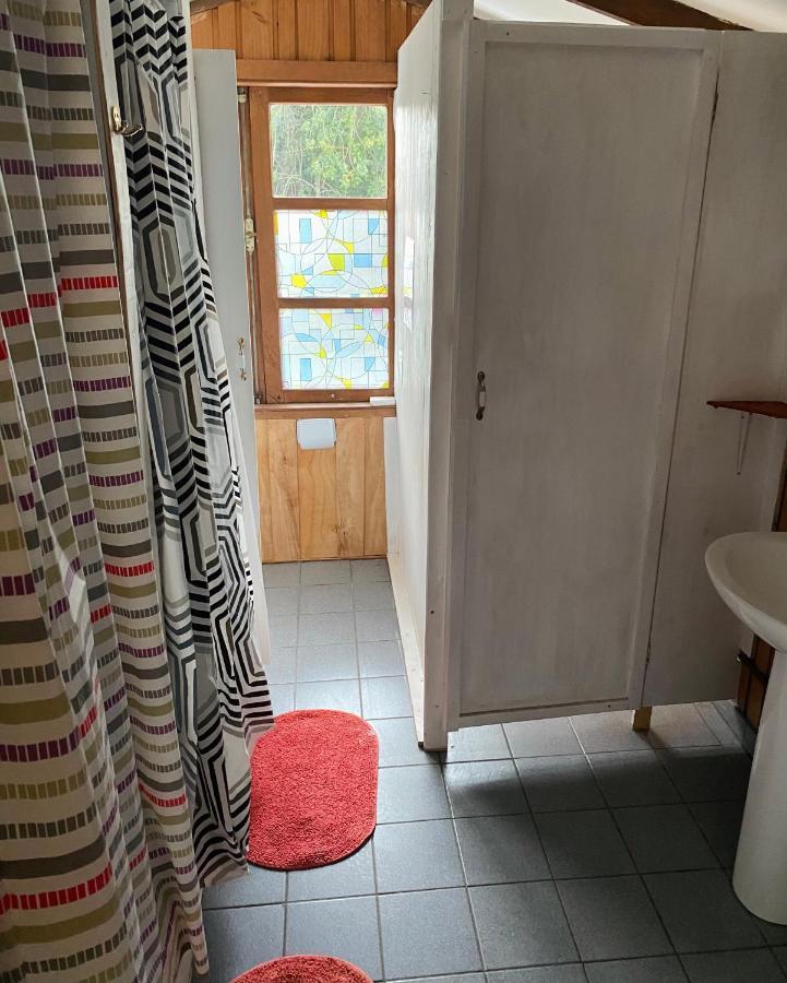 Alma Nativa Hostel Pucón Zewnętrze zdjęcie