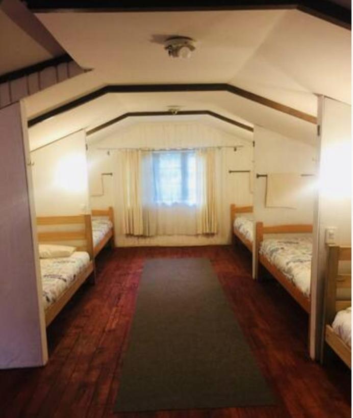 Alma Nativa Hostel Pucón Zewnętrze zdjęcie