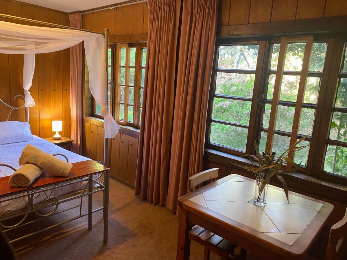 Alma Nativa Hostel Pucón Zewnętrze zdjęcie
