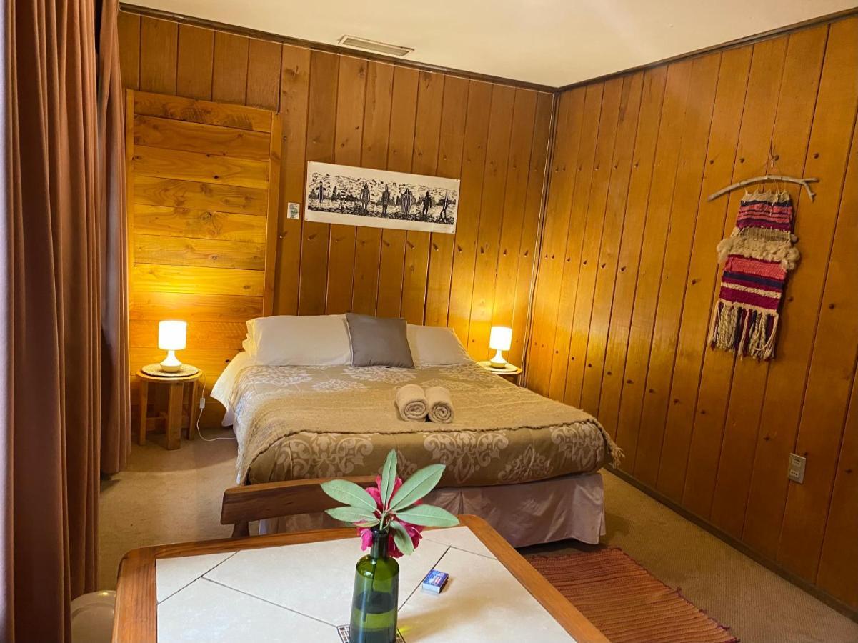Alma Nativa Hostel Pucón Zewnętrze zdjęcie