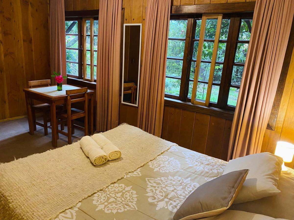 Alma Nativa Hostel Pucón Zewnętrze zdjęcie