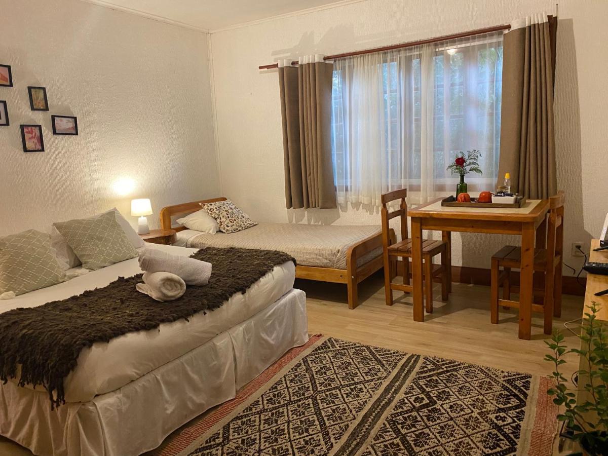 Alma Nativa Hostel Pucón Zewnętrze zdjęcie