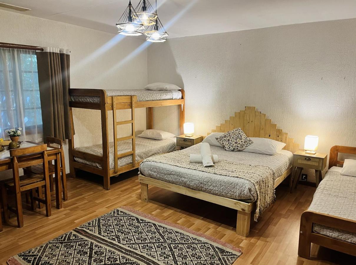 Alma Nativa Hostel Pucón Zewnętrze zdjęcie